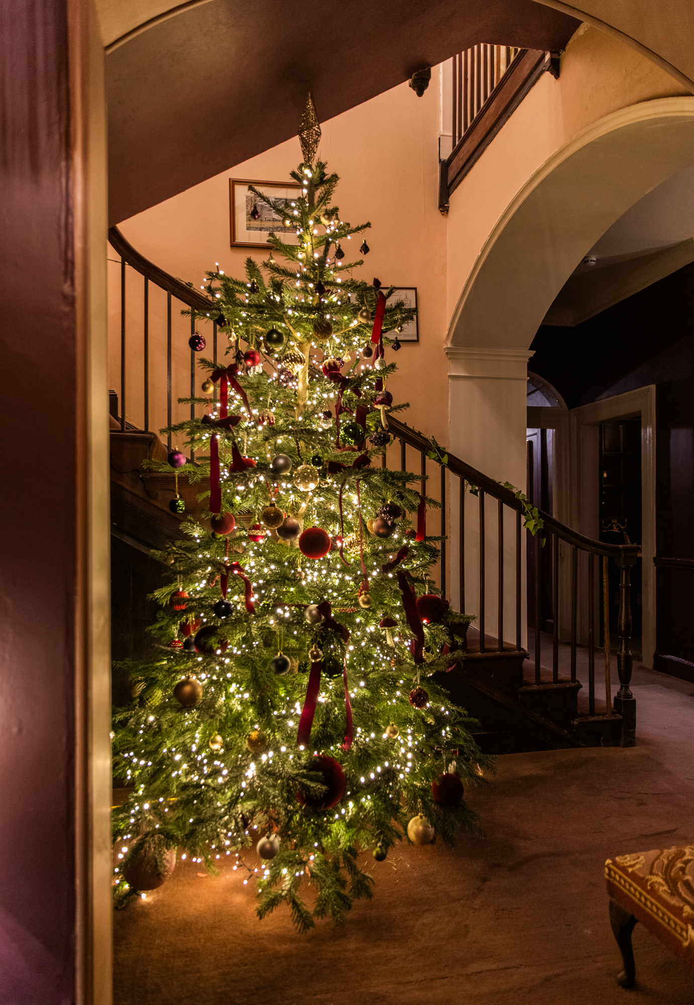 A tall Christmas tree dressed for the season in the manor hall