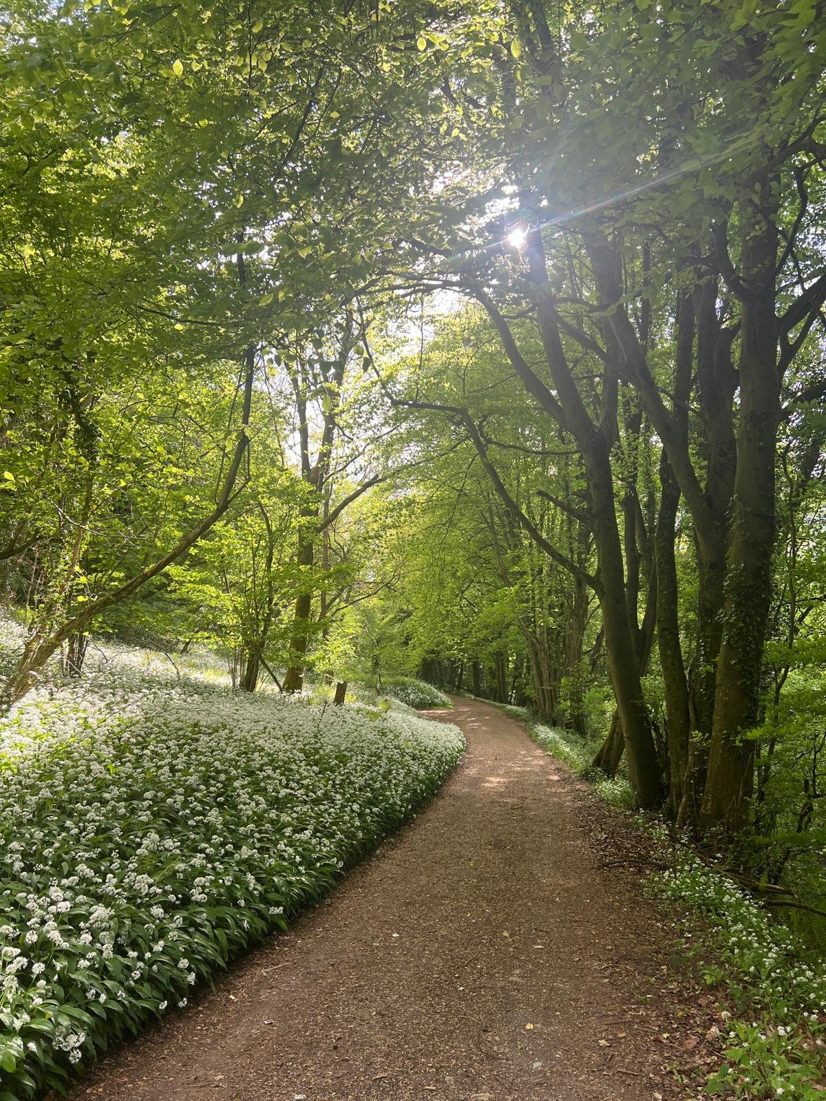 River Wye Walks